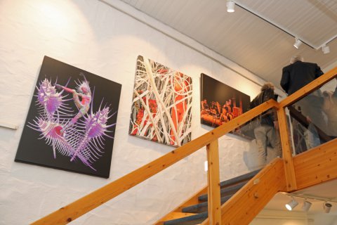 Impressionen der Vernissage von Jürgen Bischoff am 26.02.2023