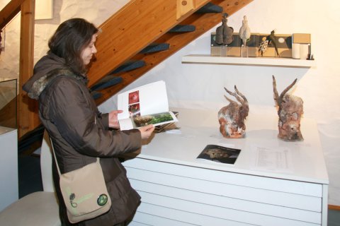 Impressionen der Vernissage von Ule Ewelt am 21.01.2018